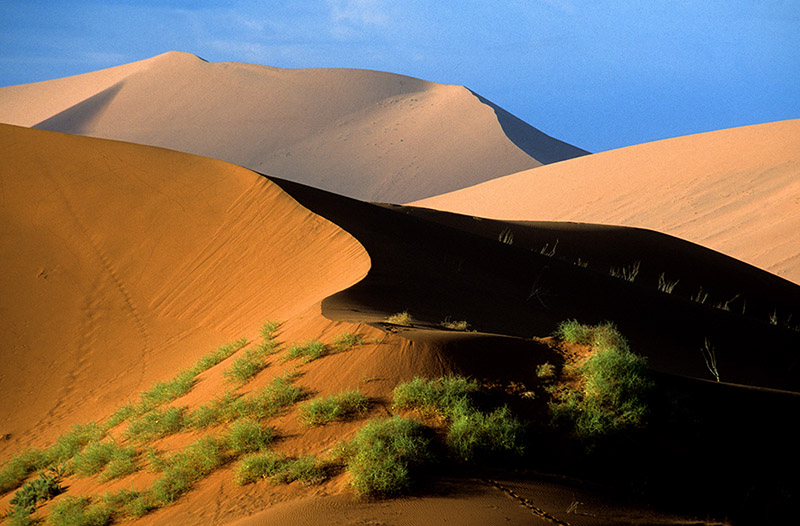 Namib