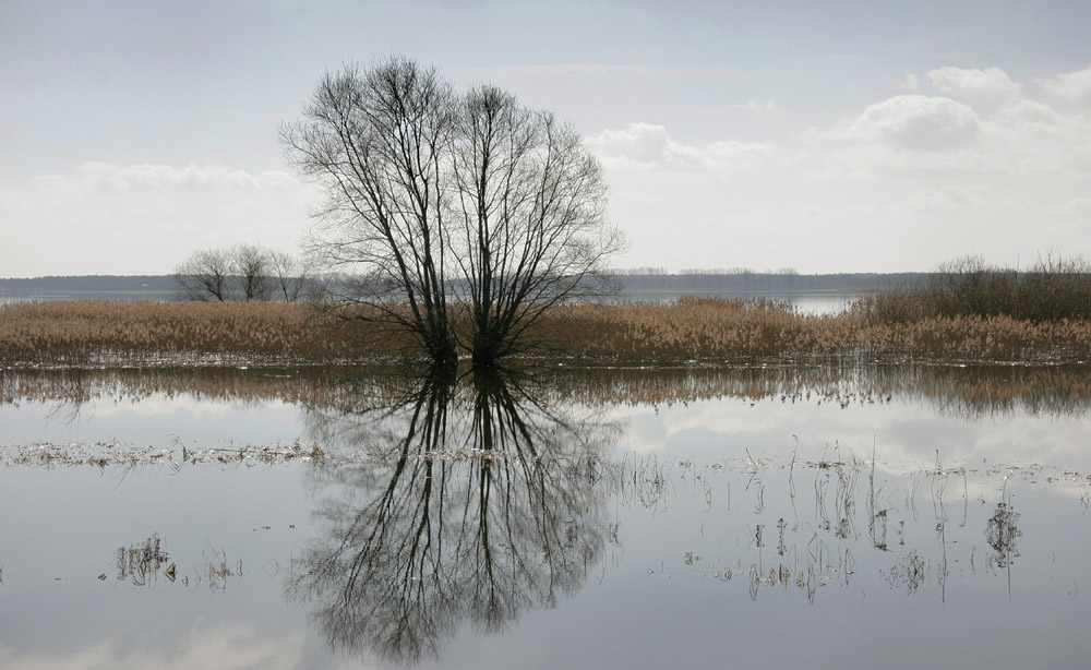 Vorfrühling am See