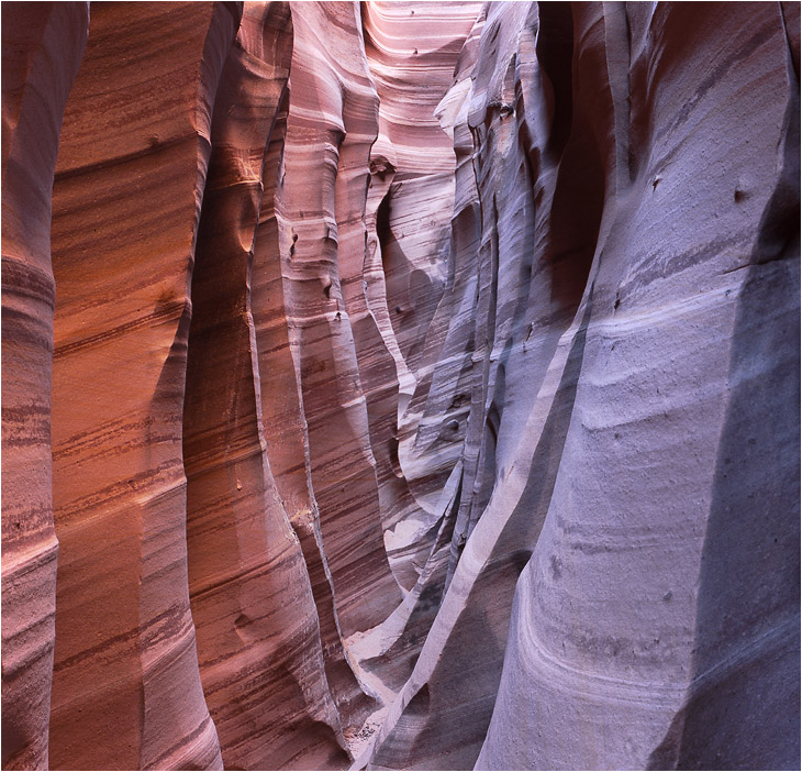 Zebra Slot Canyon II