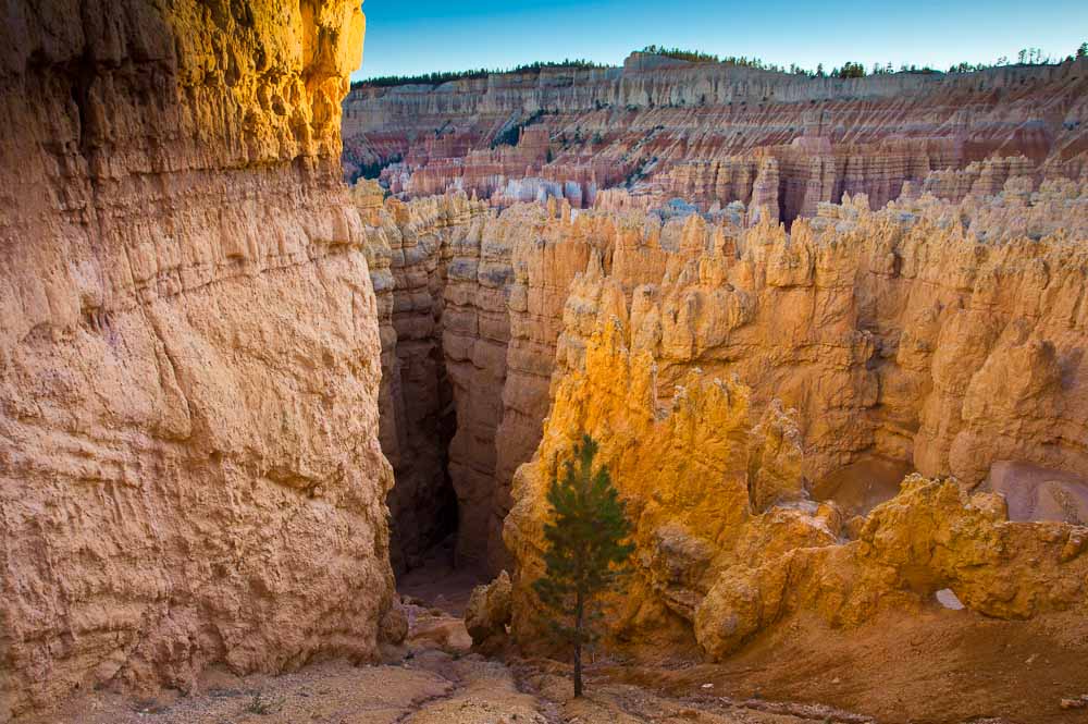 Abenddaemmerung im Bryce