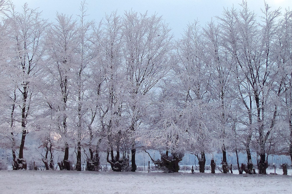 Frostiger Wintertag