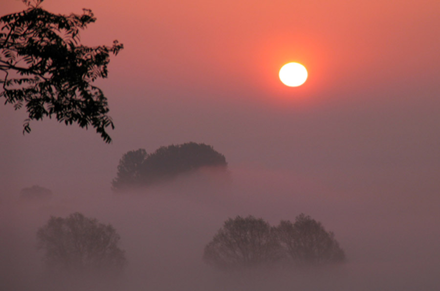 Morgensonne im Nebel