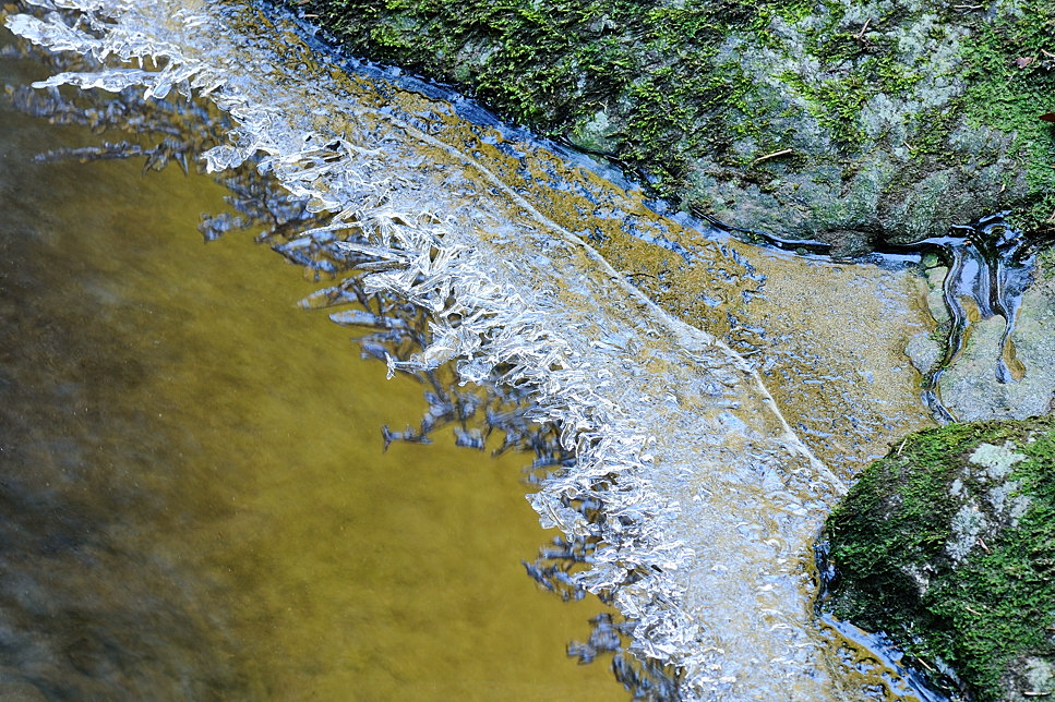Eismeerküste?