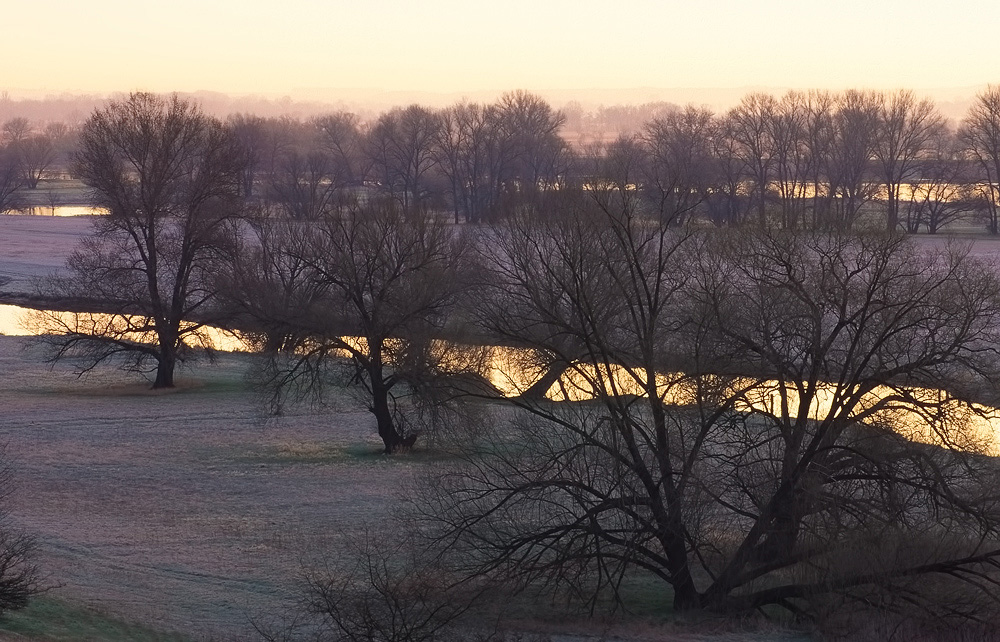 Ein Morgen an der Oder