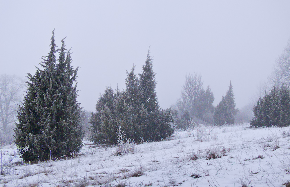 November-Tristesse ...