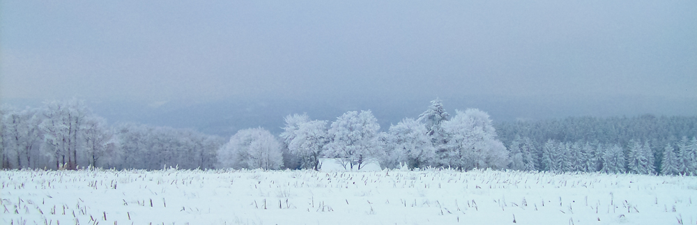 Eifelschnee