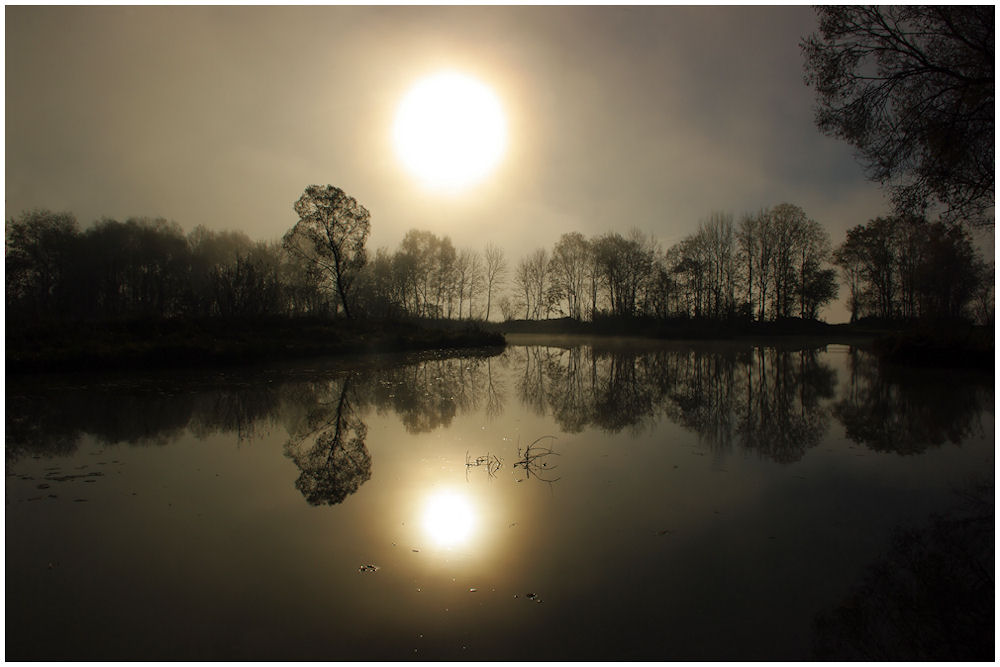 Sonne im Nebellicht