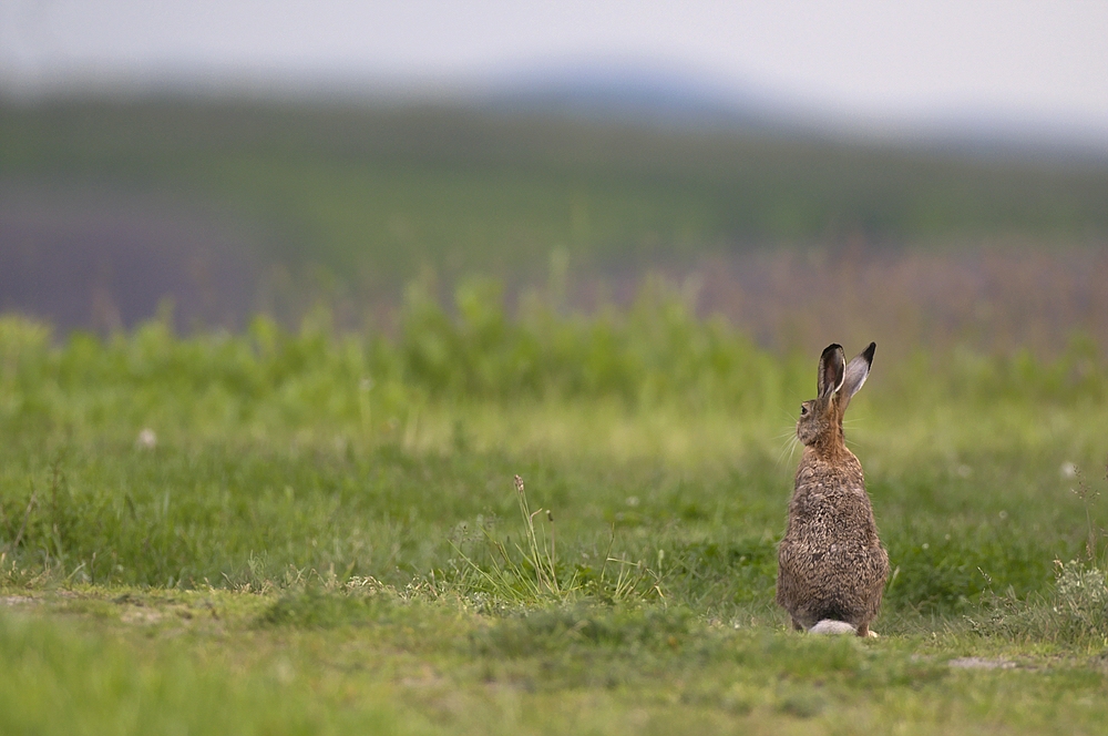 "Einblick, Ausblick!"