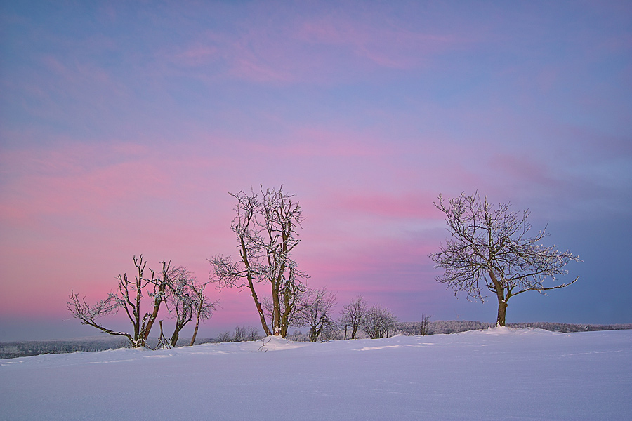 Winterabend