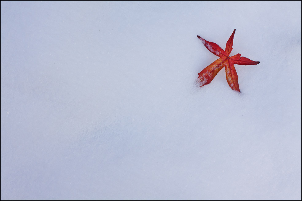 Herbst und Winter