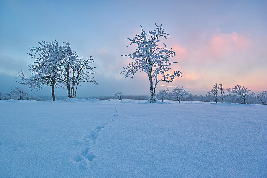 Wintersonnenuntergang