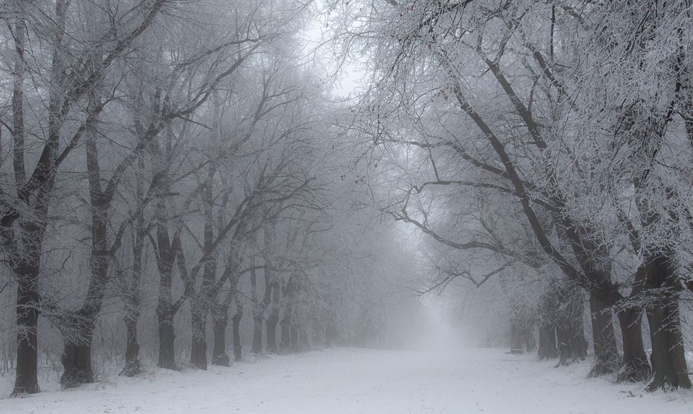 Winterallee