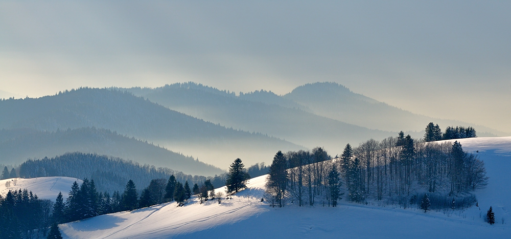 Winter am Schauinsland