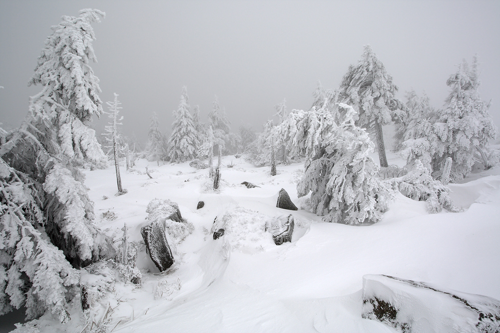 Harz IV