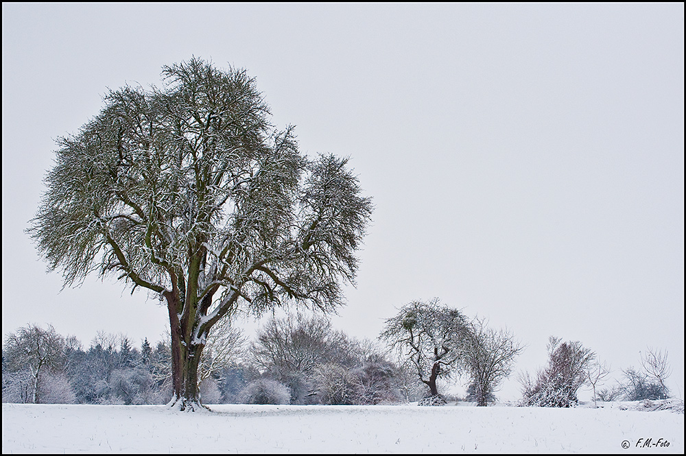 Ein ruhiger Wintertag