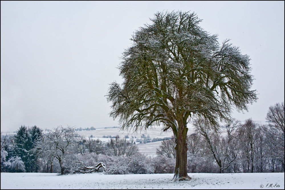 Ein ruhiger Wintertag #2