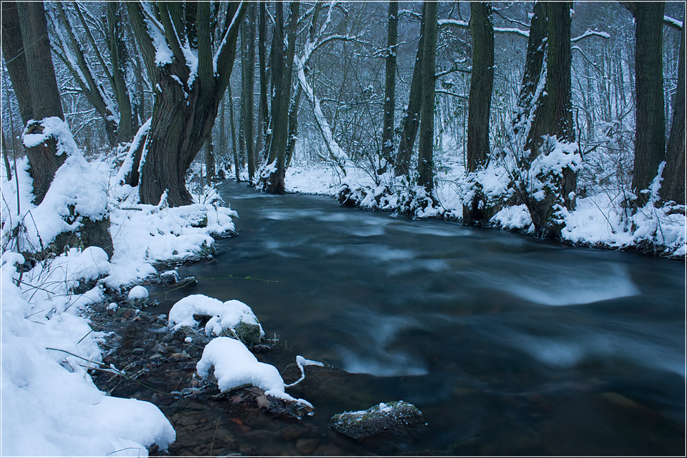 Morgen am Bach