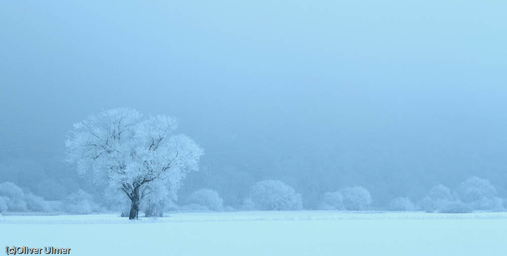 Nebel & Frost