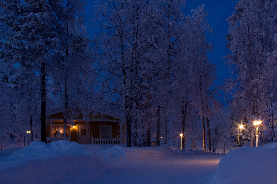 Frohe Weihnachten (Forum für Naturfotografen)