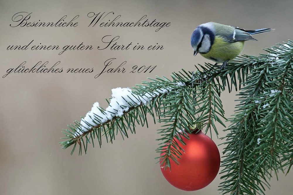 Weihnacht 2010