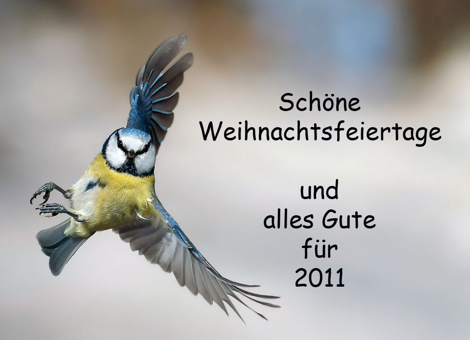 Schöne Feiertage (Forum für Naturfotografen)