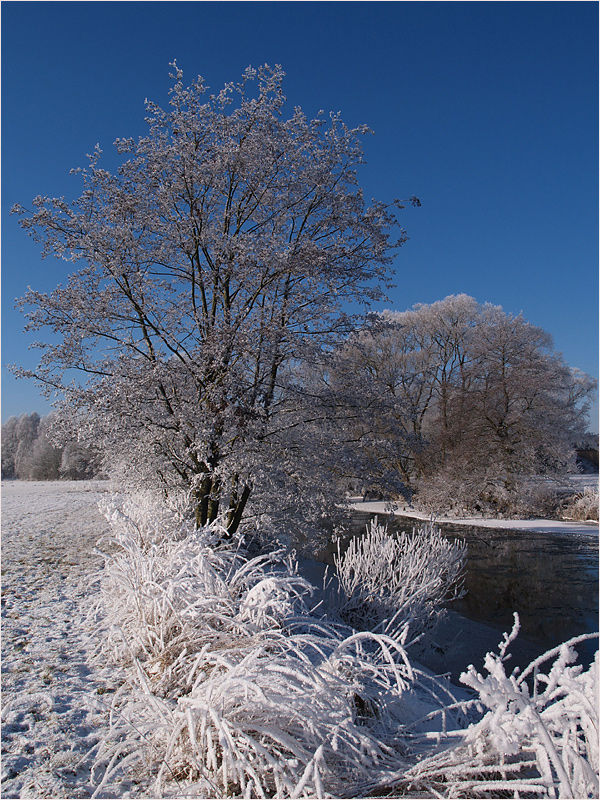 ~ Weihnachtsgrüße ~ (Forum für Naturfotografen)