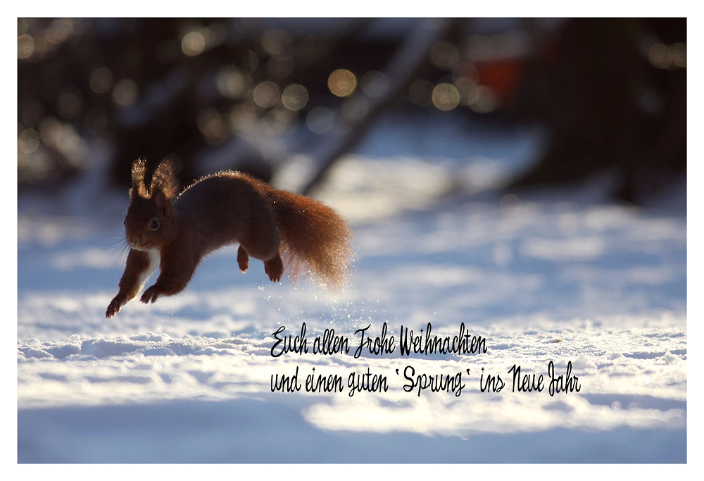 Frohe Weihnachten