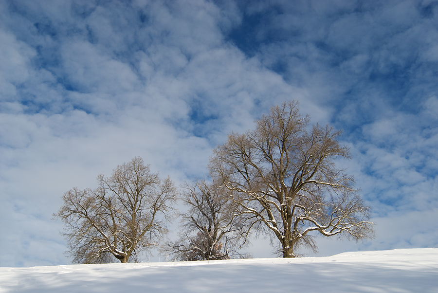 Winterlandschaft