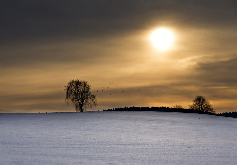 winterliches Augsburg