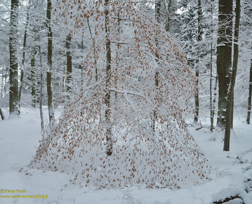 Ball- oder Winterkleid