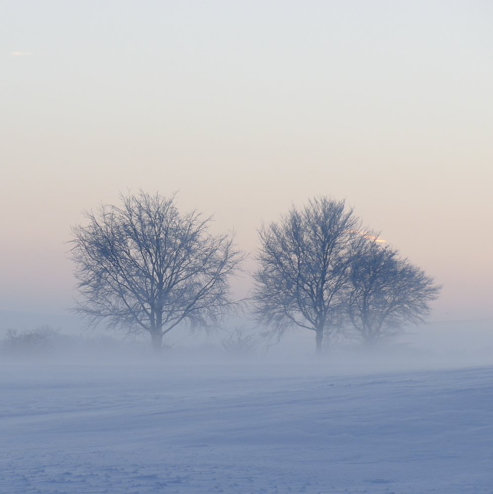 Schneewehen...