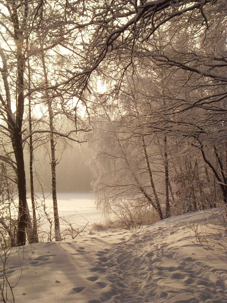 Winterlandschaft