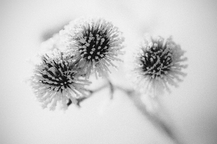 Kletten