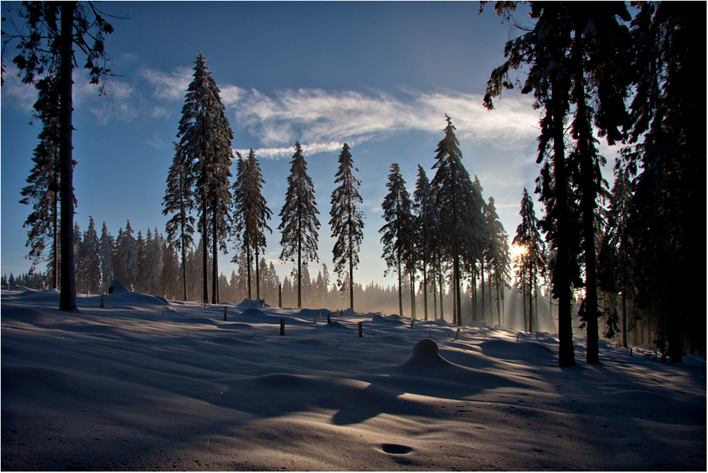 Am Heiligenborn / Wittgensteiner Land