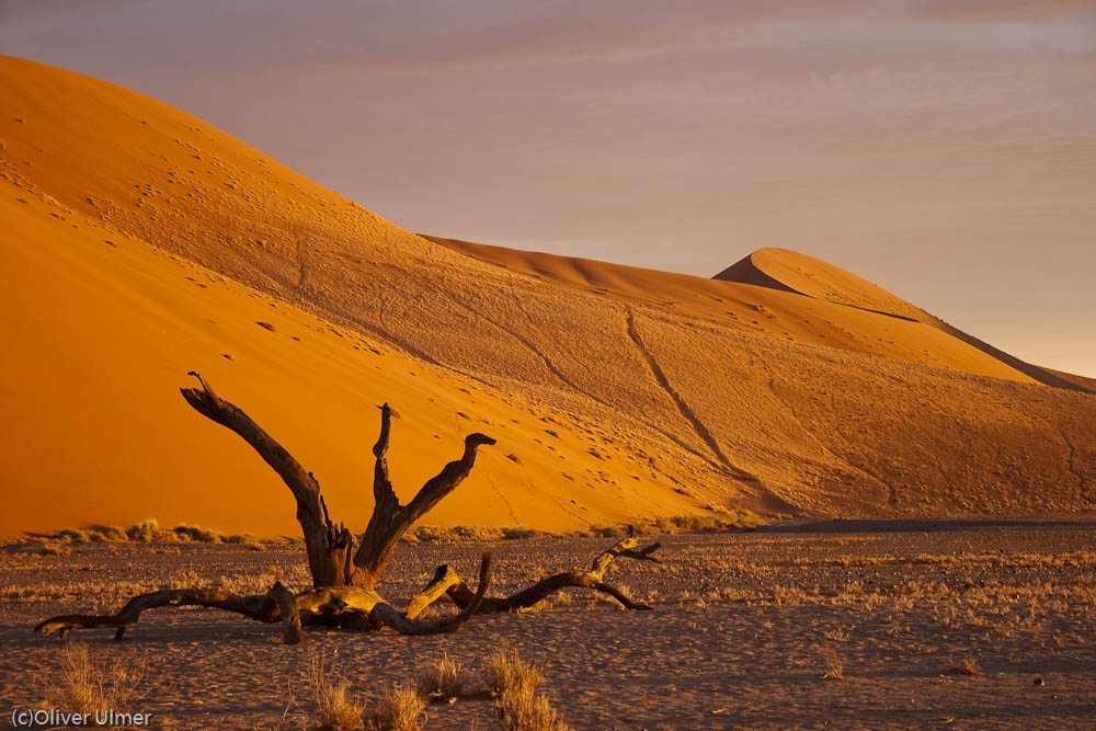 Namib