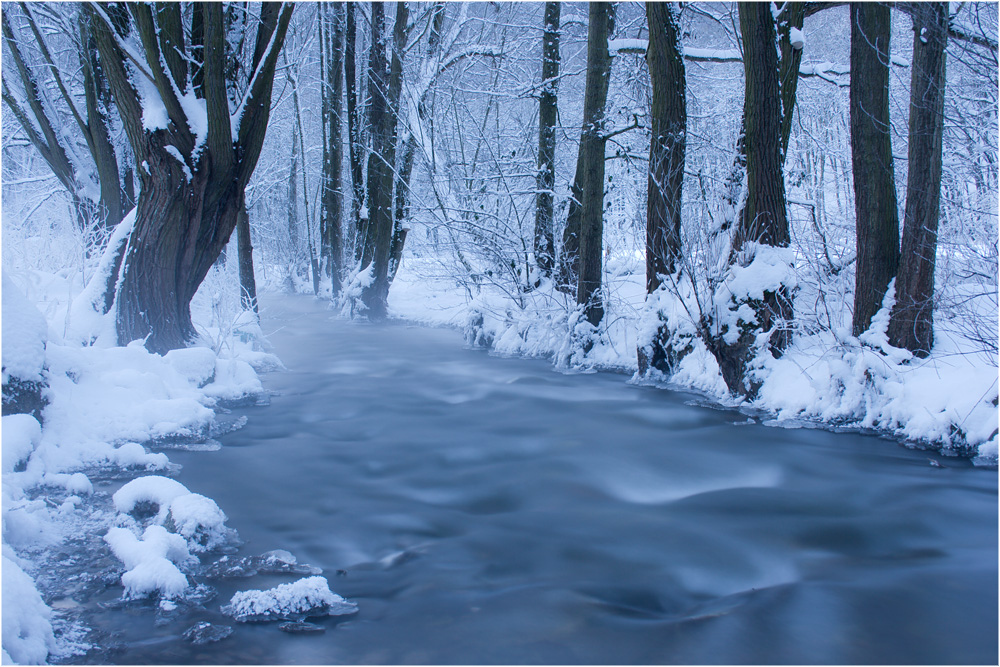  - image::Rico_Berthold_natur_schnee_stunde_wasser_lockwitzbach_kreischa_blaue_daemmerung_kaelte_bach