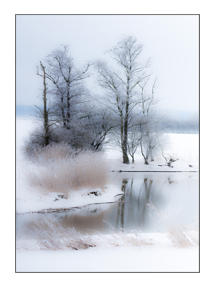 Bäume im Winter (Teil 2)