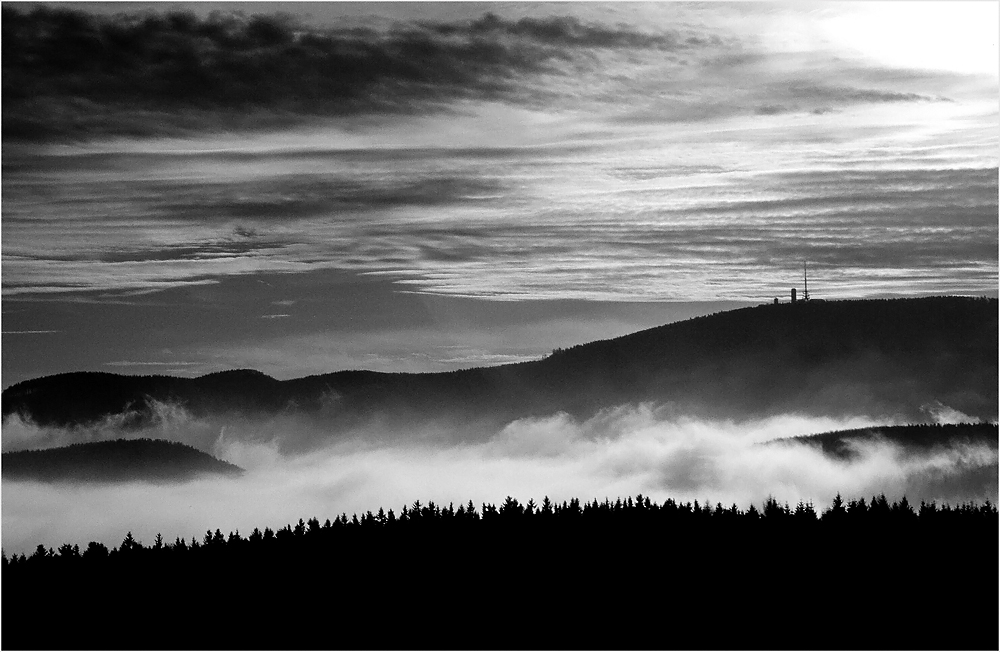 Der Wald steht schwarz und schweiget