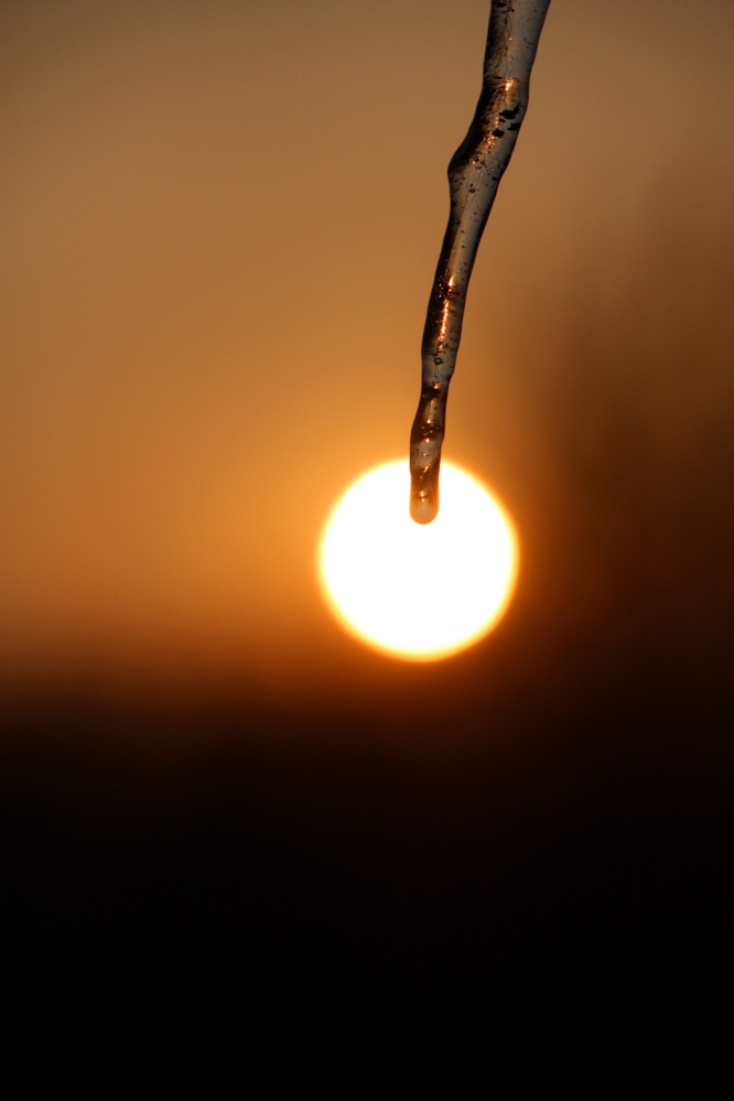 Von der Sonne geküsst