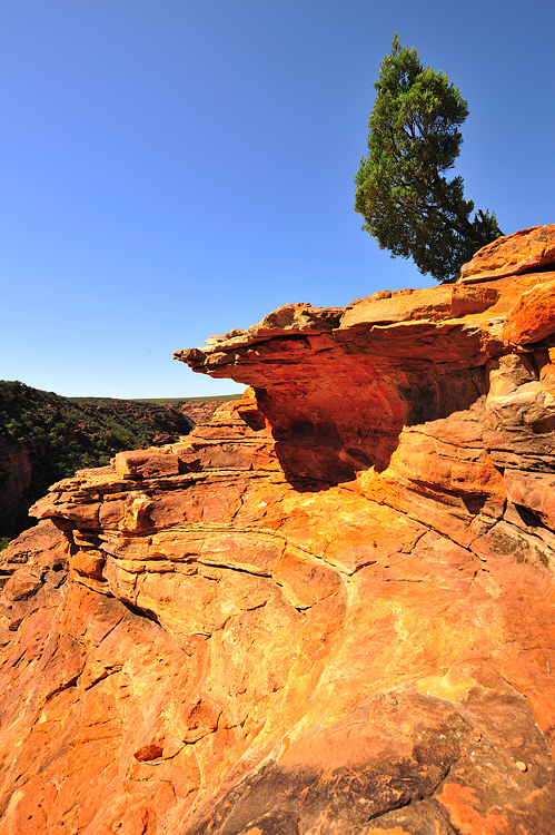 Kalbarri NP