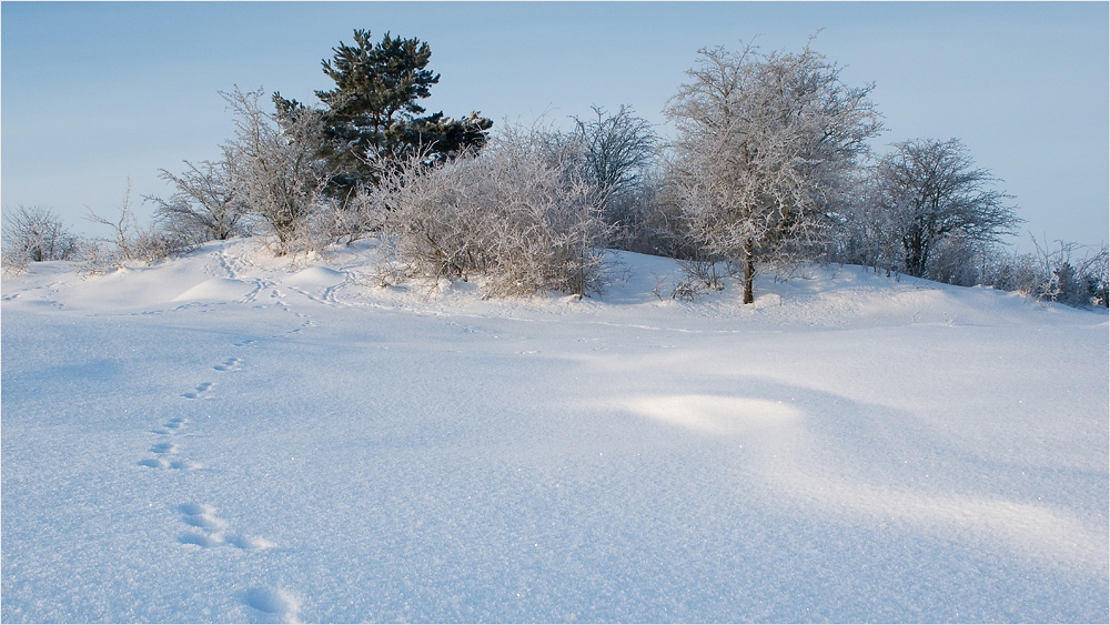 Spuren im Schnee 2