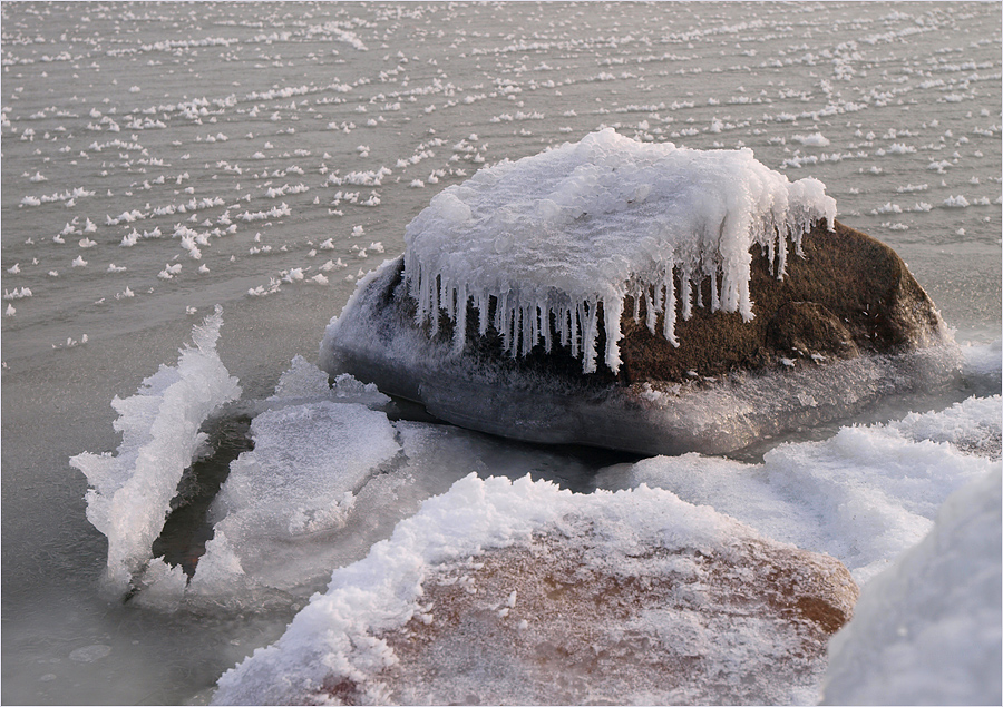 ~ Winter an der Ostsee VII ~