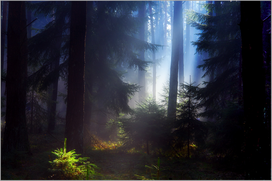 Spitzlicht...