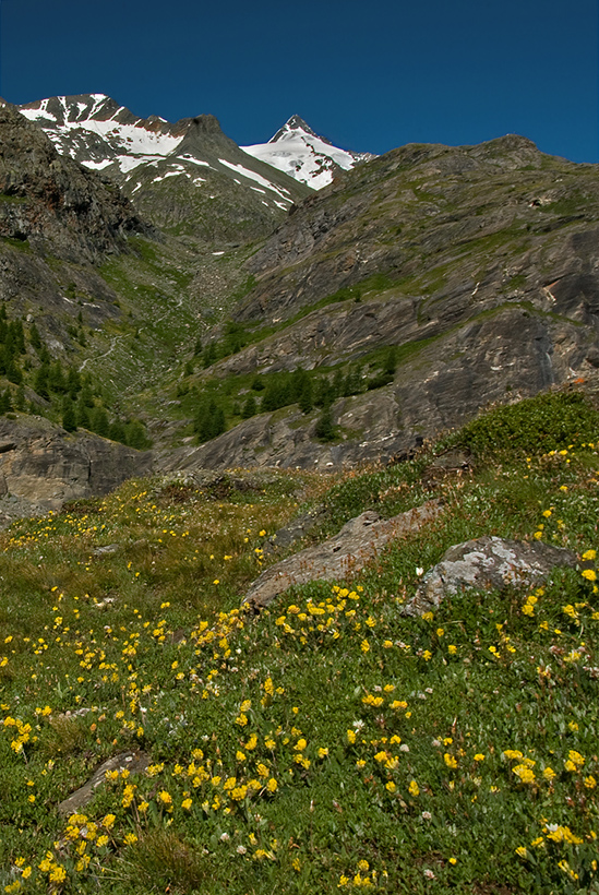 Sommer am Großglockner