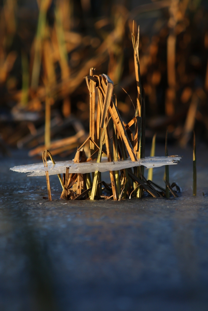 kleine Eislandschaft