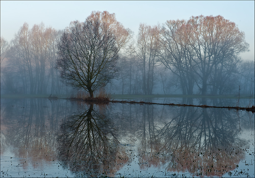 Kronleuchter ,bearbeitet