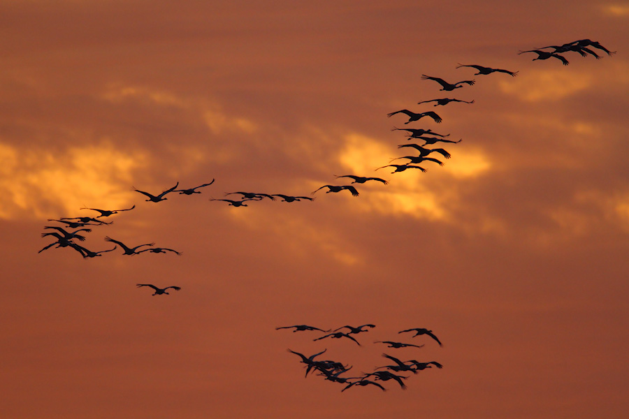~ Going home ~