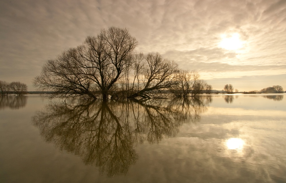 An der Oder