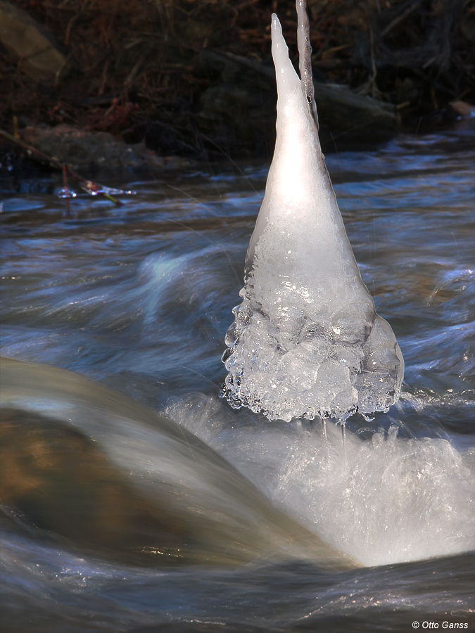 Eis am Stiel (Forum für Naturfotografen)