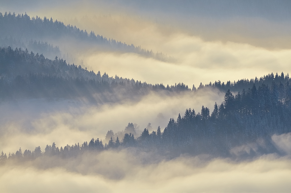 Abendstimmung am Belchen II